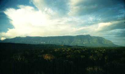 table mountain Cerro Duida